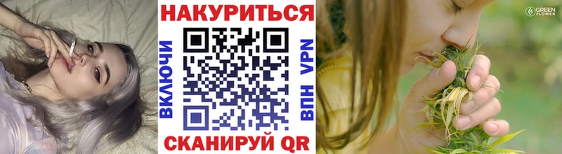 Канабис планчик  Пудож 